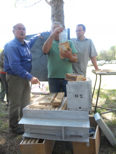 Cours sur la ruche éleveuse (Roger Piot et Tony Bisconti)